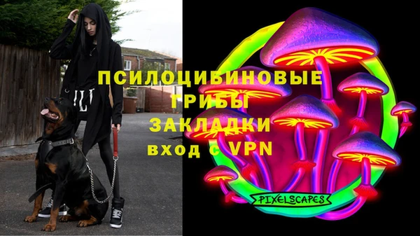 бутират Алексеевка