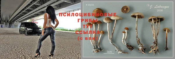 ALPHA PVP Алзамай