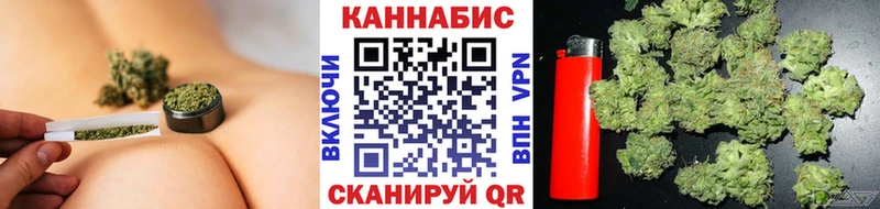 где купить Прохладный Бошки Шишки семена